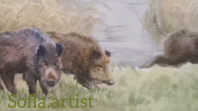 Кабаны акварелью смотреть онлайн