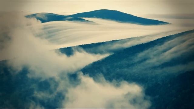 The Mist (Nikon D5000 HD Video) смотреть онлайн