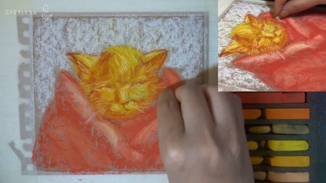 ?Уютный кот сухой пастелью на крафт бумаге? Soft Pastels mungyo смотреть онлайн