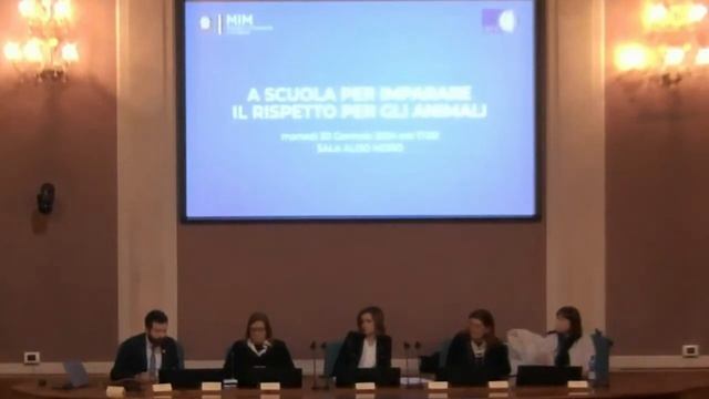 A scuola per imparare il rispetto per gli animali смотреть онлайн