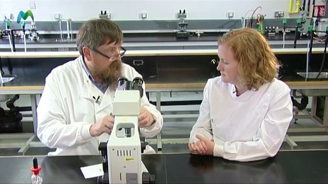 Microbiology Techniques: Microscopy смотреть онлайн