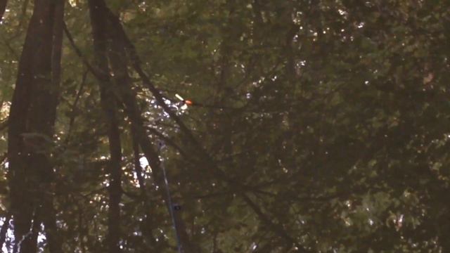 РЫБАЛКА НА ЯУЗЕ смотреть онлайн