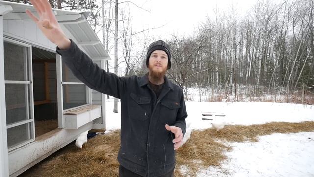 Winter Chicken Guide - NO Heat Open Air Coop & Cold Weather Tips смотреть онлайн