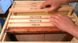 Формирование отводков.- Пчеловодство для начинающих.