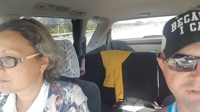 Почему собаки сходят с ума и начинают болеть смотреть онлайн