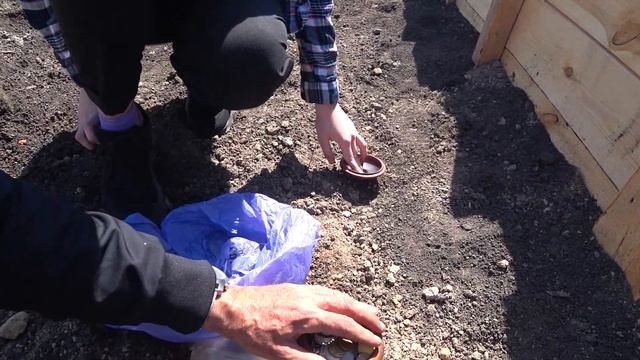 Учебник по Рукоделию