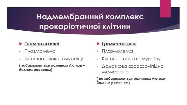 ЗНО Біологія Надмембранний комплекс клітини смотреть онлайн