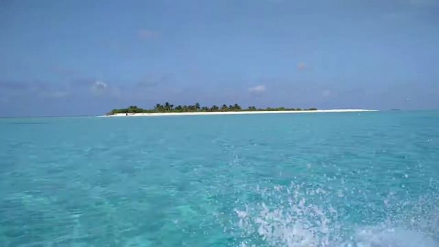Island exploring at Huvadhu atoll😮Such a beautiful Island.#Maldives смотреть онлайн