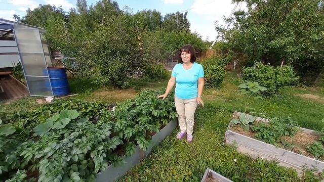 Давайте знакомиться! Моя дача. смотреть онлайн