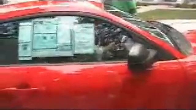 Joeys crash смотреть онлайн