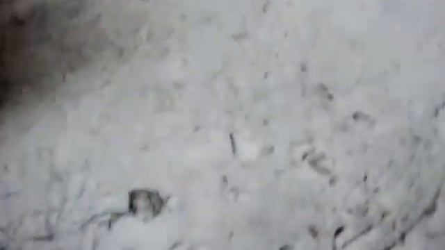 Снег 19 апреля в Чите смотреть онлайн