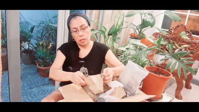 Unboxing Philodendron cuttings/Rare Plants/Plantitos Plantitas смотреть онлайн