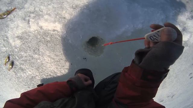 Рыбалка в Шарыпово. Озеро Парное! часть 1 смотреть онлайн