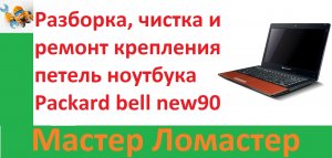 Разборка, чистка и ремонт крепления петель ноутбука Packard bell new90