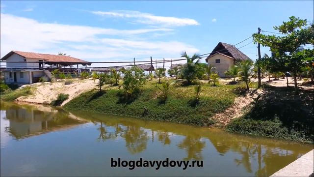 Рекава Лагун 4, Тангале (Rekawa Lagoon, Tangalle) февраль 2015