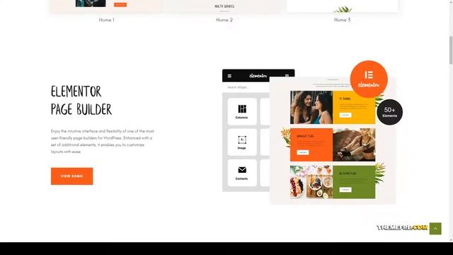 Rosaleen - Health Coach Speaker and Motivation WordPress Theme coaching holistic Reina смотреть онлайн