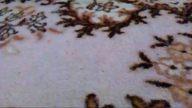 Что нужно брать с собой в лес,поход смотреть онлайн