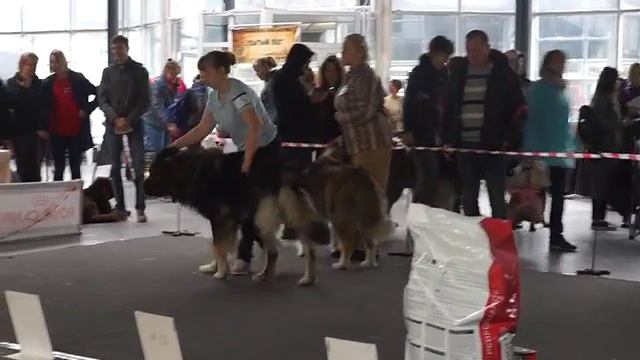 MAQ00929 смотреть онлайн