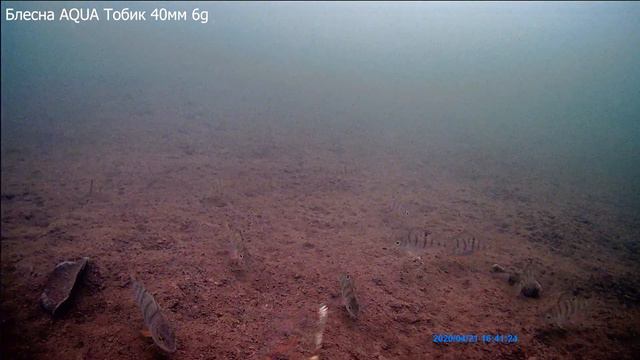 Блесна зимняя AQUA Тобик - игра блесны, подводная сьемка смотреть онлайн
