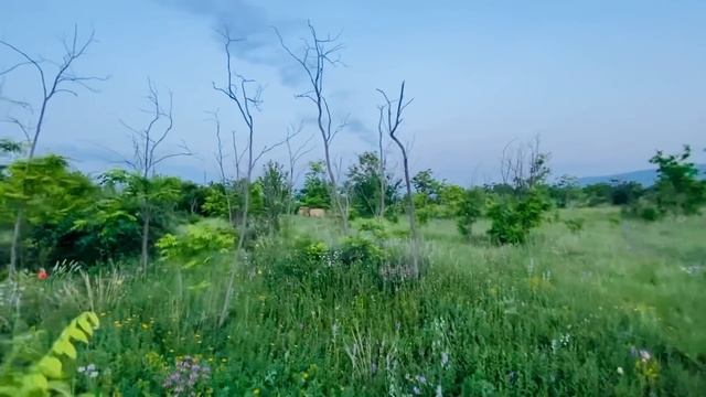 Мода для Мужчин