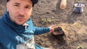 Проверка двух способов из интернета избавиться от пня. При помощи огня и калиевой селитры.