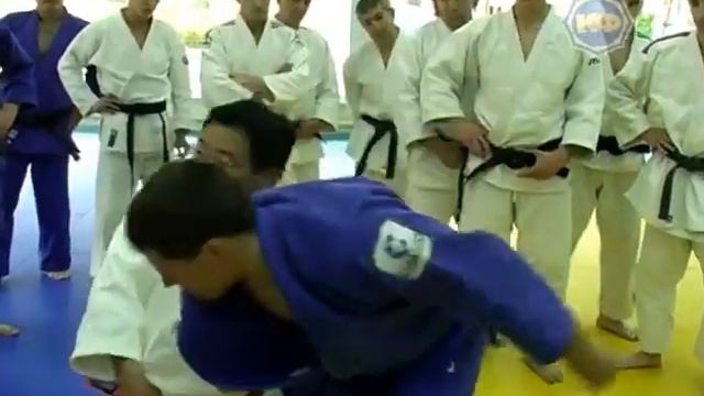 Звезды дзюдо в Москве. Теория и практика для российских специалистов. 11-12 мая 2008 г. часть 24 смотреть онлайн