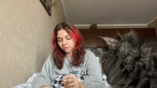 Букет, который не завянет … всего 79₽ смотреть онлайн