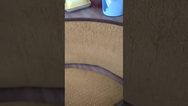 Гиламларни тозалаш Энди жуда осон, бу средства билан бир синаб корин... смотреть онлайн