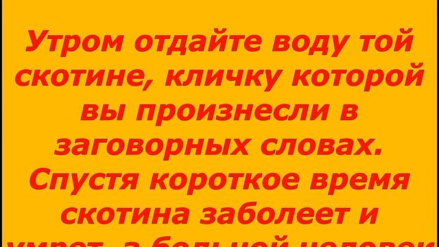 ЗАГОВОРЫ МОЛИТВЫ - КАК СКИНУТЬ С СЕБЯ РАК НА СКОТИНУ. ПЕРЕНОС БОЛЕЗНИ НА ВЕТЕР. смотреть онлайн