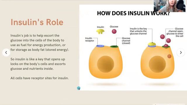 The Spectrum of Diabetes and Insulin Resistance - with Danielle Hamilton смотреть онлайн
