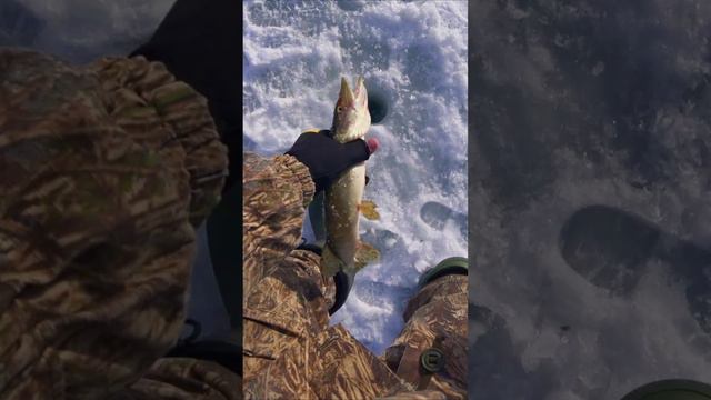 ПОЧИСТИЛ КАРМУ ПЕРЕД НОВЫМ СЕЗОНОМ! смотреть онлайн