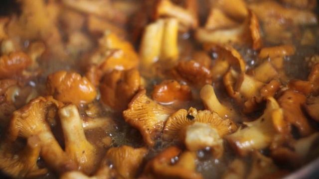 1000 и 1 рецепт