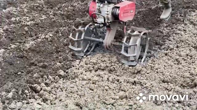 Посадка картофеля 2 Апреля 2022 смотреть онлайн