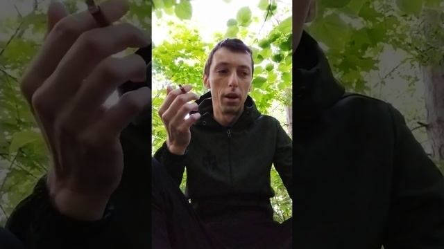Экзорцизм. Эгрегоры городов, часть 1 смотреть онлайн