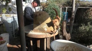 Печь помпеи из ванны часть 2/ Stove