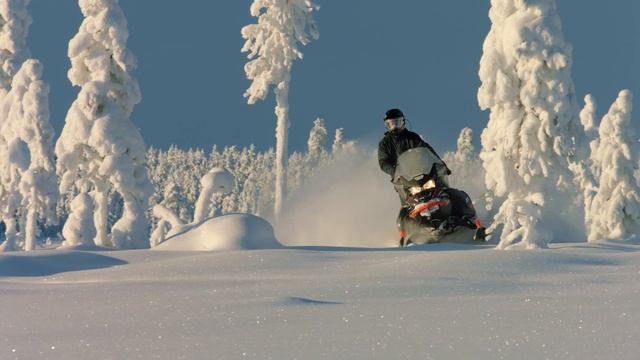 Lynx Commander | Lynx Lineup 2020