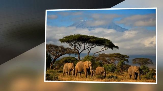 Kenya. Republic of Kenya. Jamhuri ya Kenya. КЕНИЯ – ВОЛШЕБНАЯ СТРАНА смотреть онлайн