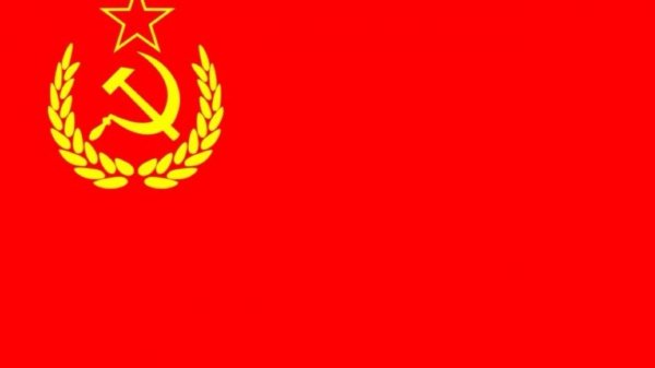 2024 07 18 первое короткое видео Zeflei(я)