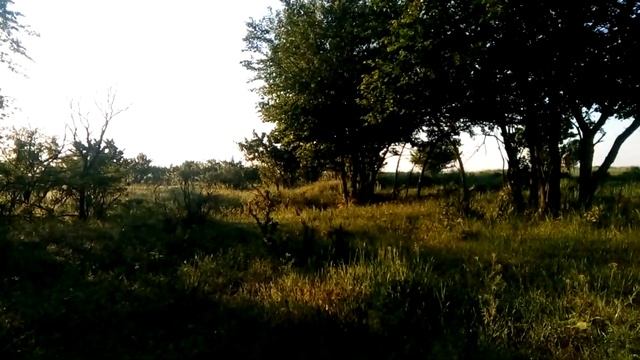 Старый хутор не порадовал! Но надежда умирает последней!!! смотреть онлайн