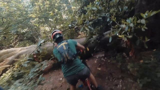 Ravensdale MTB 2 смотреть онлайн