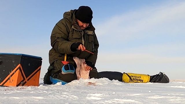 В этом месте можно поймать любую рыбу. Рыбалка на глубоководных свалах. смотреть онлайн