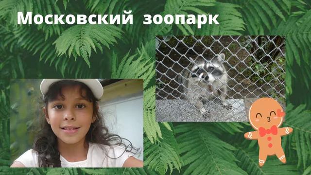 Московский зоопарк, август 2020 смотреть онлайн