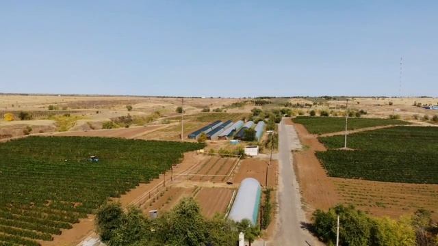 Виноделья Гусева смотреть онлайн