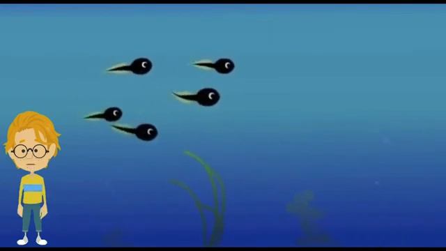 Ирина Чистякова, воспитатель Школы № 1002. Кто такие земноводные?