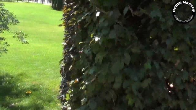 ?4K-Сказочный Парк Галицкого в Краснодаре - Экскурсия с блогером ПЕТРУХА KRD // ВЕЛЕС мастер? смотреть онлайн