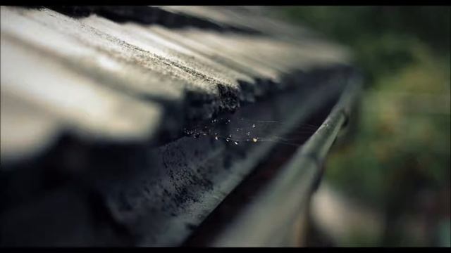 Злой кабук — Мелодекламация Семёна Овчарова смотреть онлайн