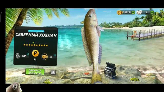 Рыба дня - СКАТ / Событие на один день / Игровой процесс / Fishing Clash: Реальная рыбалка смотреть онлайн