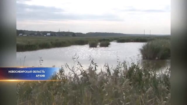 Предприниматели не согласны с противниками передачи охотничьих угодий в частные руки
