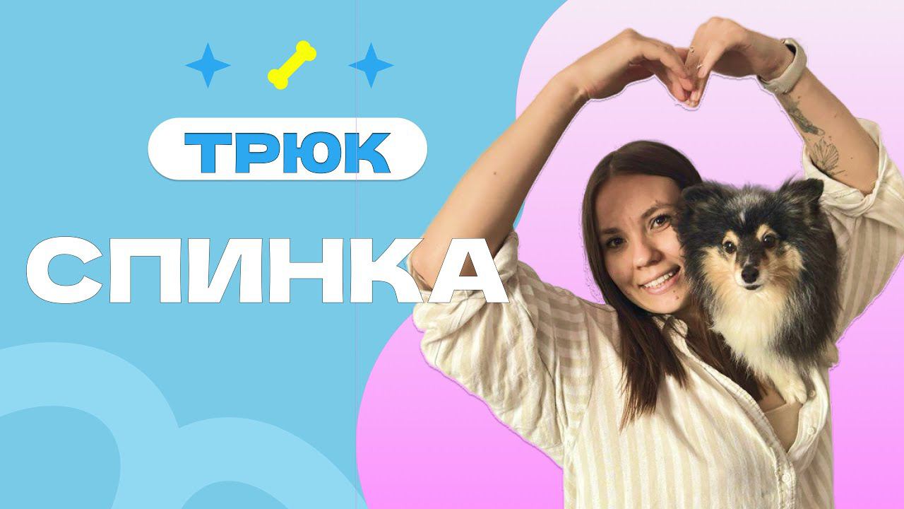 Обучалка трюку СПИНКА или Запрыгни на спинку, запрыгни на плечо, сиди на плече