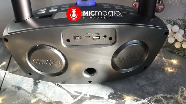 Караоке система SDRD SD-306 Plus с двумя микрофонами Сова